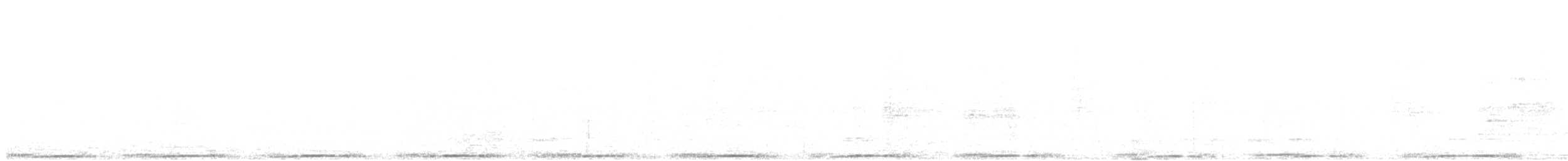 holub skalní - ML239288301