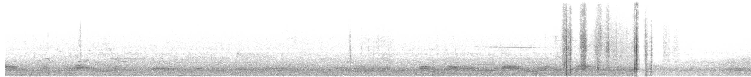 smålom - ML239294791