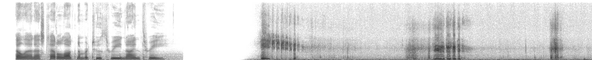 Sooty Grouse - ML2393