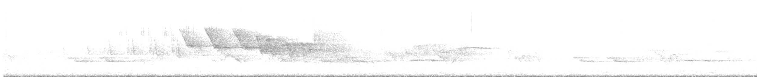 Трясогузковый певун - ML239301191
