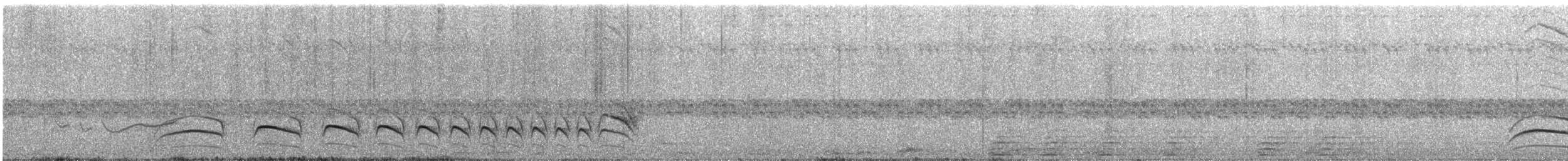 Rufous-capped Antshrike (Southern) - ML239302611
