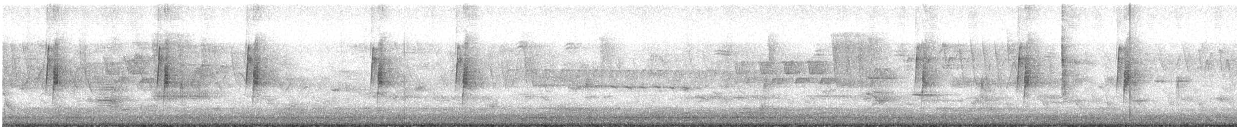 Least Flycatcher - ML239351121