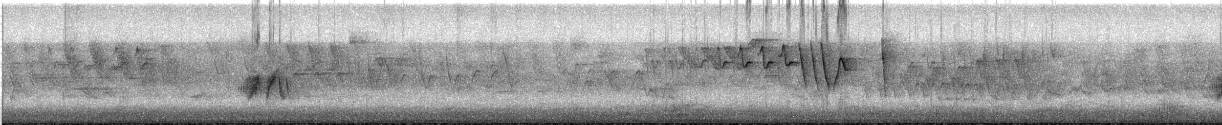 Alder Flycatcher - ML239357921