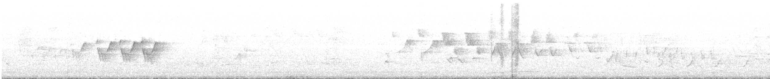 Черногорлая хвойница - ML239362571