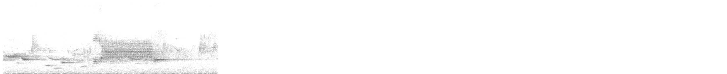 Red-winged Blackbird - ML239404501