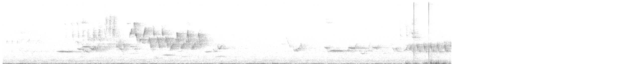 Hermit Thrush - ML239404601