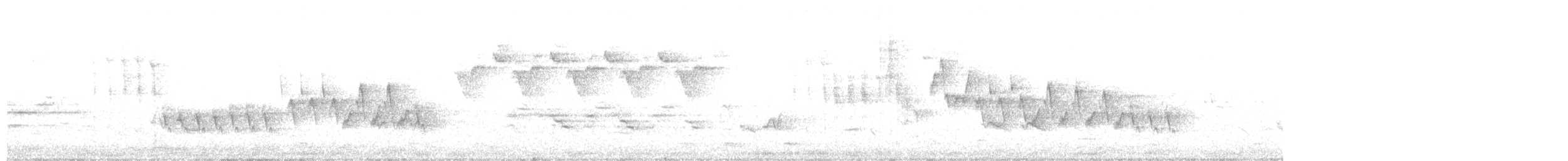 Northern House Wren - ML239404631