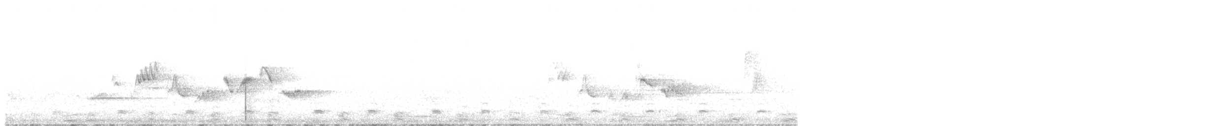 Eastern/Western Warbling Vireo - ML239405211