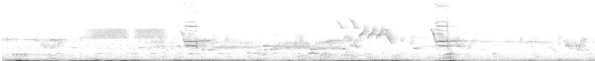 Philadelphia Vireo - ML239406831