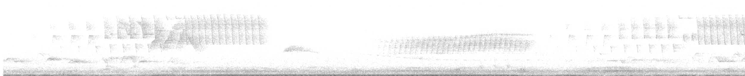 Tennessee Warbler - ML239408911