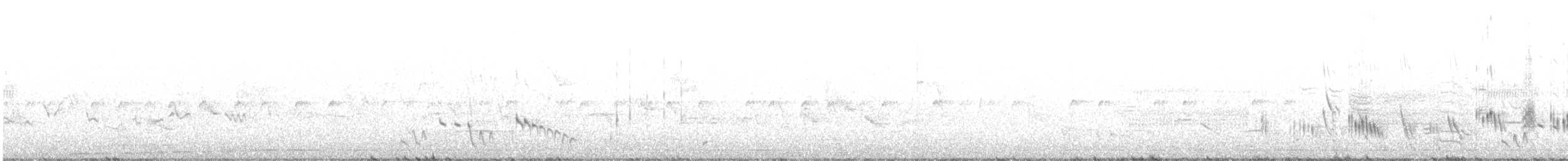 Büyük Mor Kırlangıç - ML239411211
