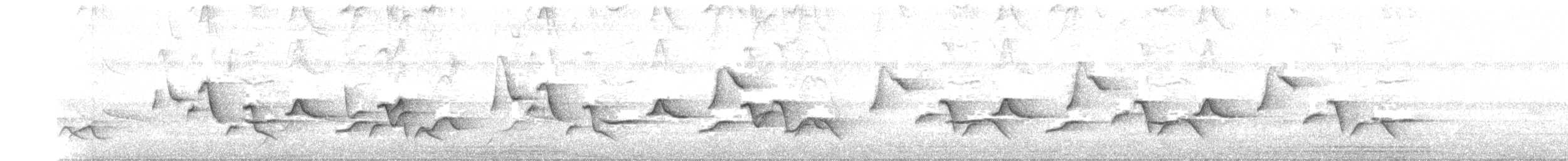 Fleckenbrust-Zaunkönig - ML239420771