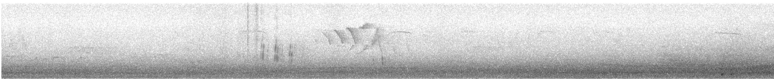 Northern Rough-winged Swallow - ML239426591