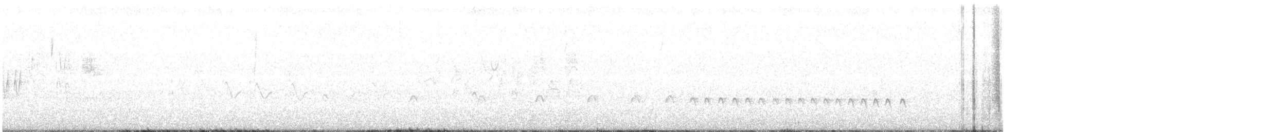 Chaparralgrasmücke - ML239437741