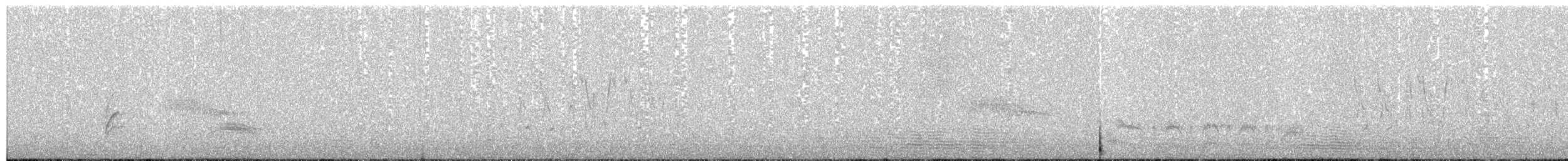 Scott's Oriole - ML239444831
