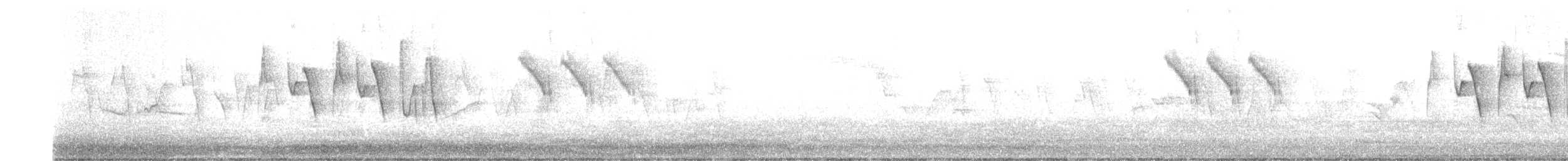 Greenish Warbler - ML239499351
