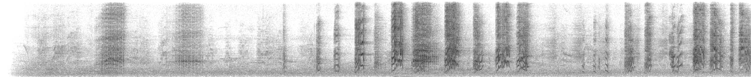 和尚鸚鵡 - ML23951501