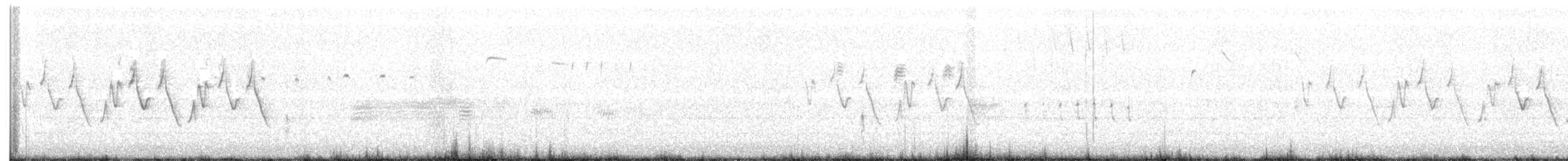 Common Yellowthroat (arizela Group) - ML239608771