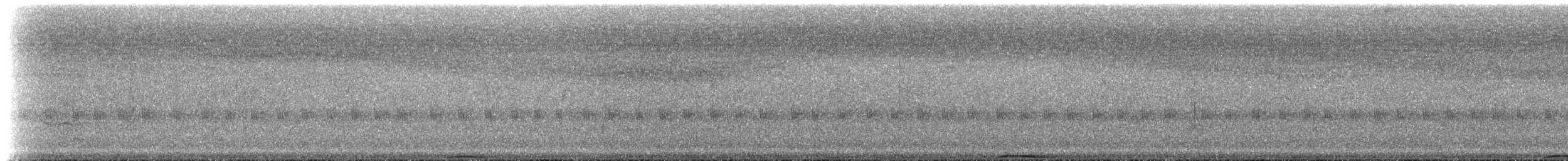 holub andamanský - ML239610