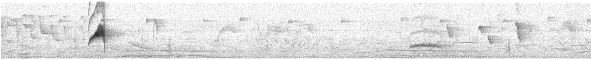 Greenish Elaenia - ML239636401