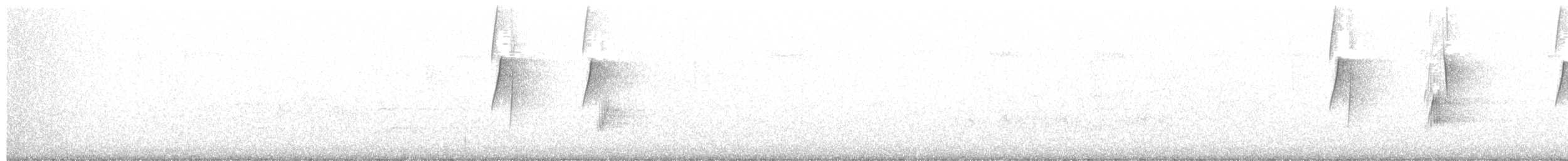 ハモンドメジロハエトリ - ML239675681