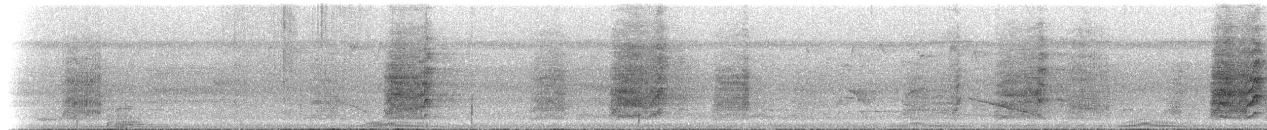 Nicobar Parakeet - ML239700