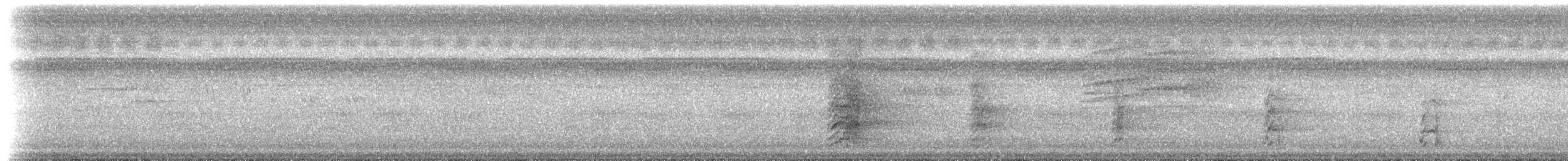 Nicobar Parakeet - ML239702