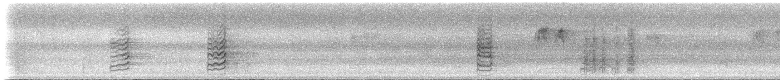 langhaleparakitt (tytleri) - ML239708