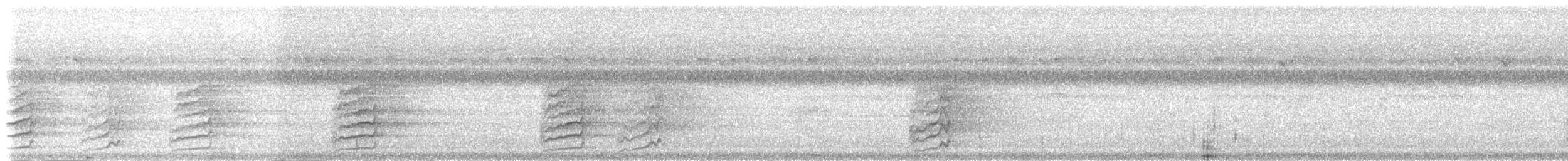 langhaleparakitt (tytleri) - ML239709