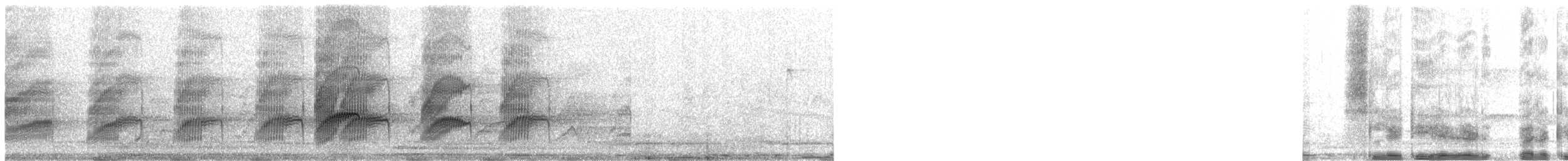 Slaty-headed Parakeet - ML239711001