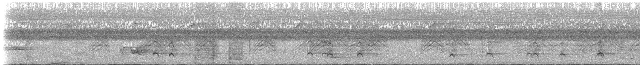 Sarcelle des Andaman - ML239730