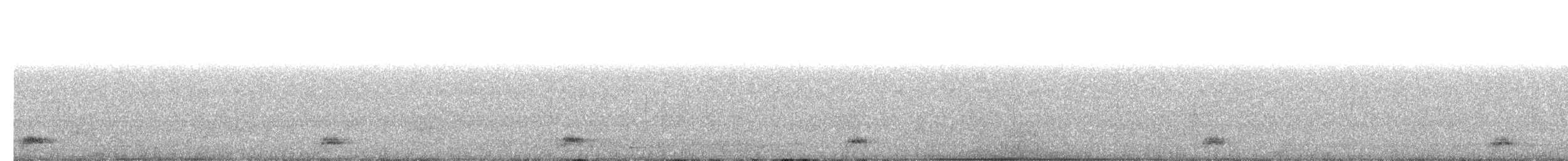 Black-crowned Night Heron - ML239732661