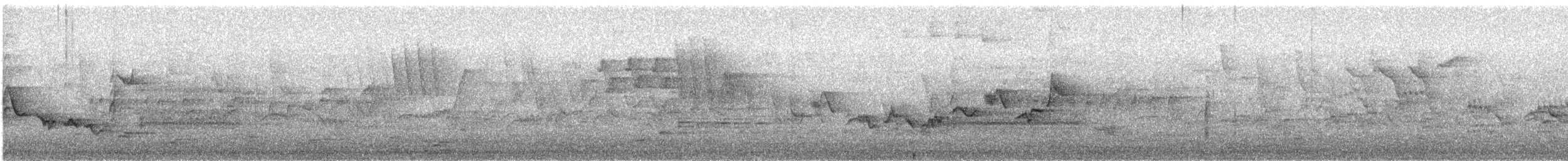 Eastern Warbling Vireo - ML239733201