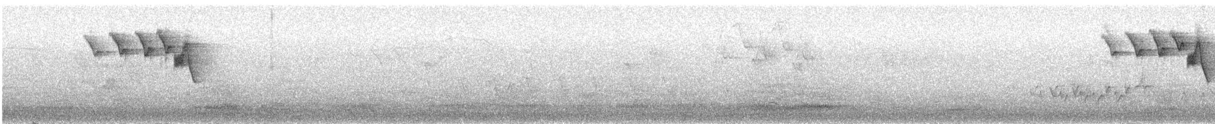 American Redstart - ML239735711