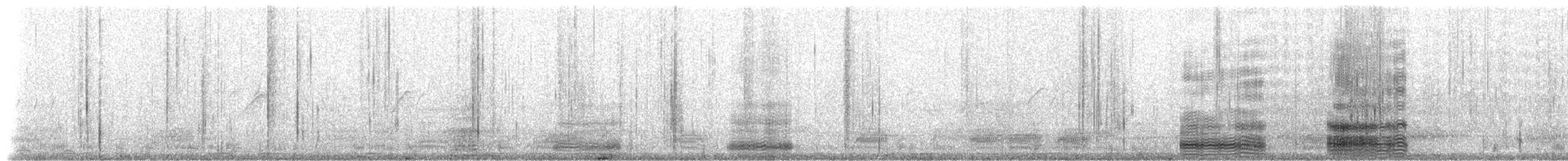 Western Reef-Heron (Eastern) - ML239736