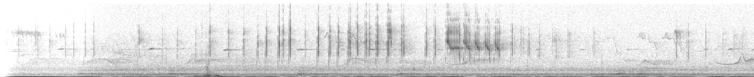 ヒマラヤアナツバメ（brevirostris／innominatus） - ML239744