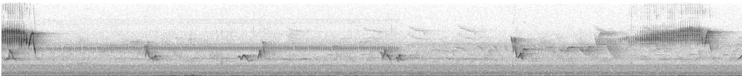 Meisenwaldsänger - ML239760201