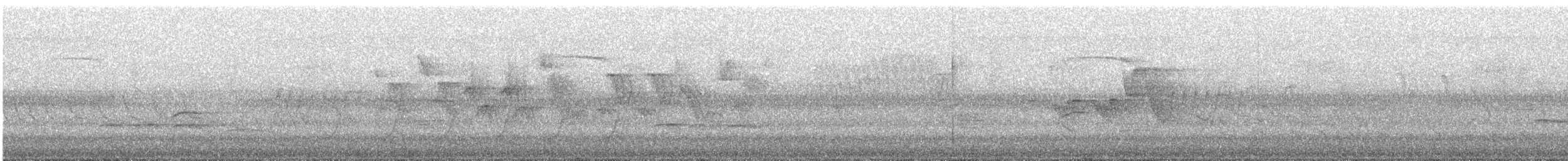 Meisenwaldsänger - ML239760251