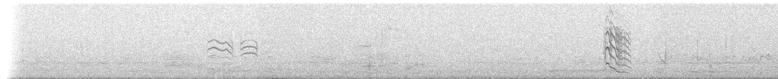 River Tern - ML239771