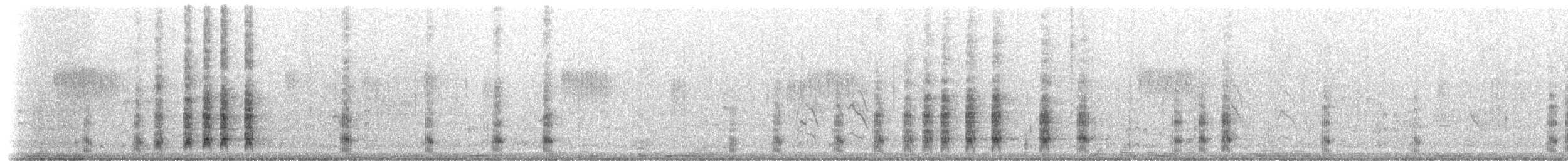 Little/Indian Cormorant - ML239780