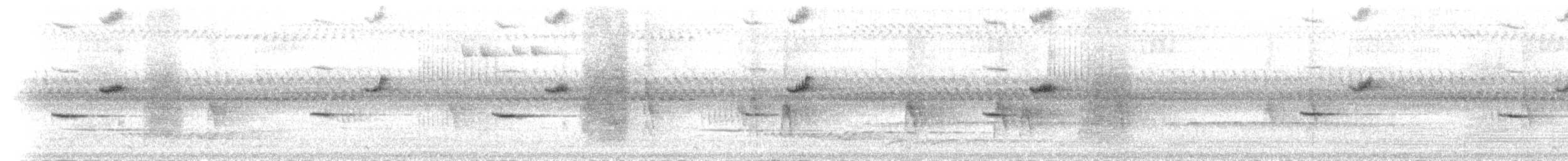 Black-backed Forktail - ML239798