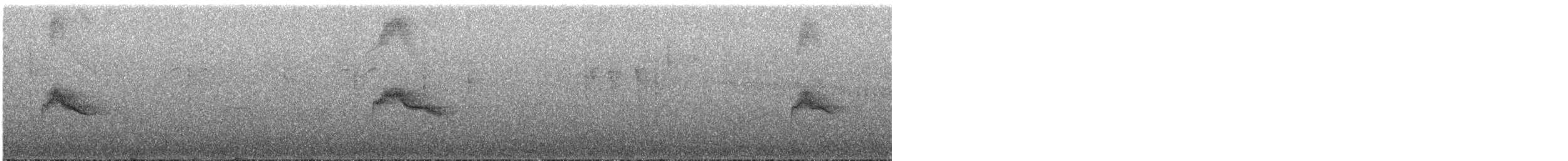 gråkinnskogtrost - ML239822261