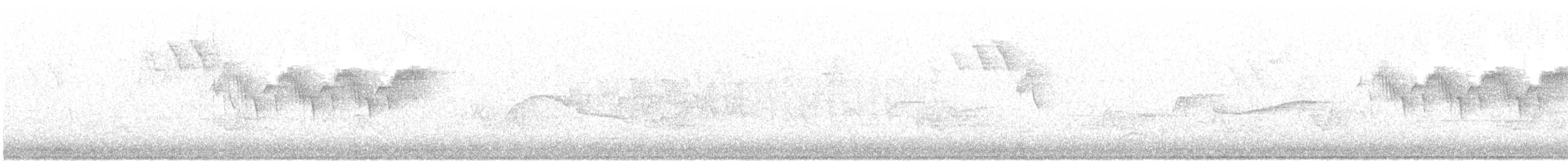 Northern Parula - ML239822801