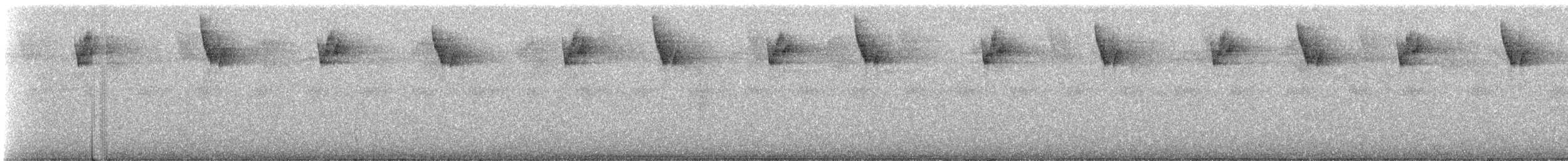 Длиннохвостый колибри-отшельник - ML239840