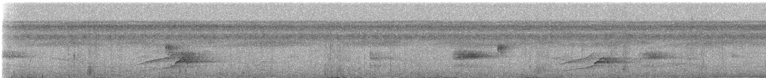 Grimpar géant (groupe orenocensis) - ML239854