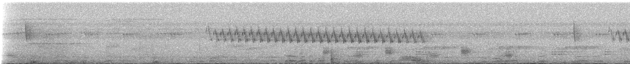 Troglodyte denté - ML239858