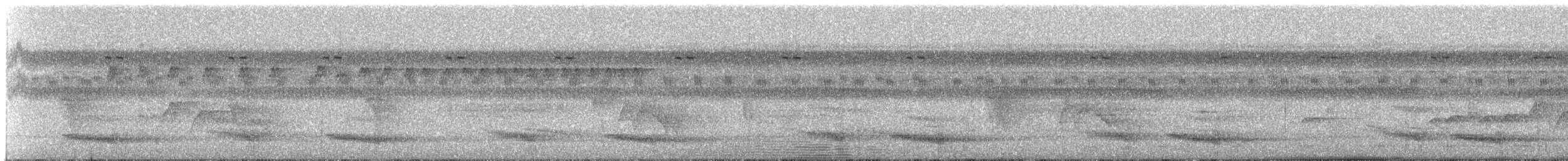 Toucan vitellin (culminatus/pintoi) - ML239859
