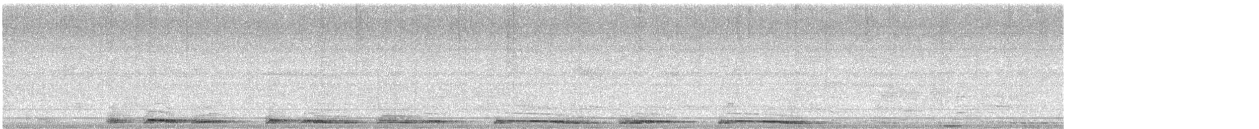 White-winged Dove - ML239864931