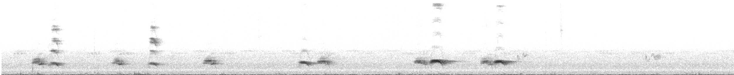 Brown-crested Flycatcher - ML239893131