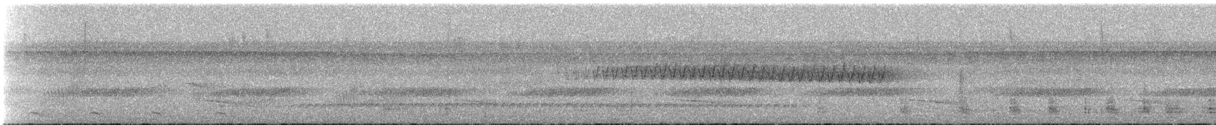 Troglodyte denté - ML239897